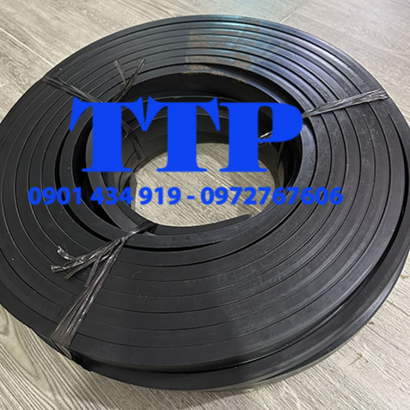 Ron cao su đặc tiết diện chữ nhật